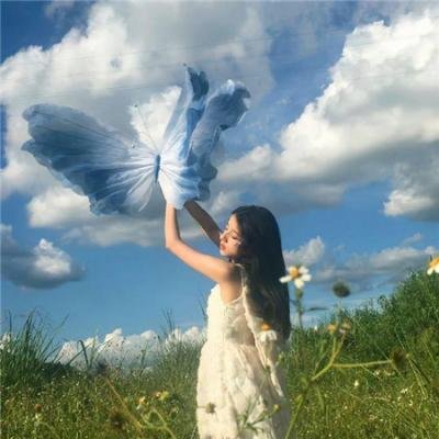 冒险兄弟第五季